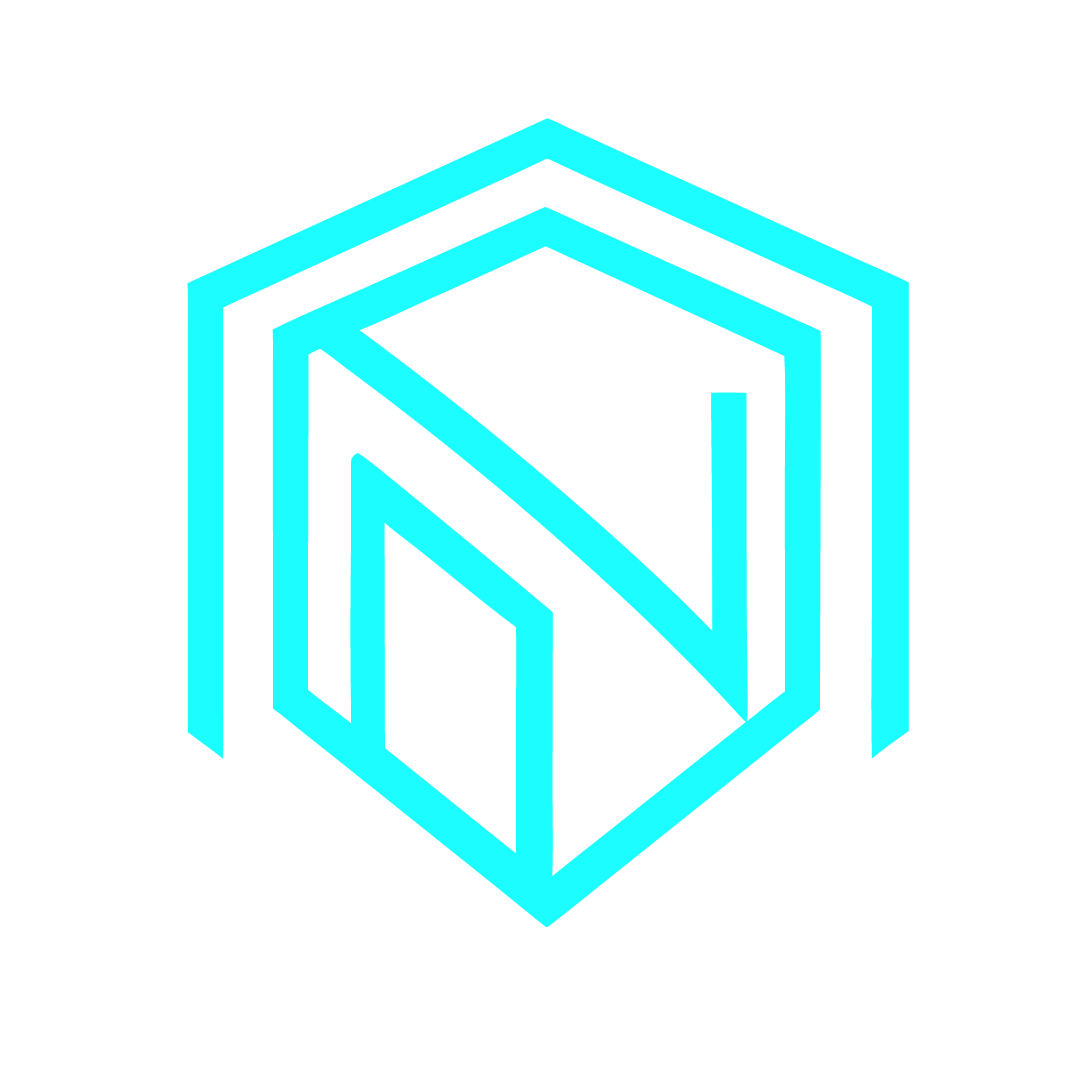 NexusNest